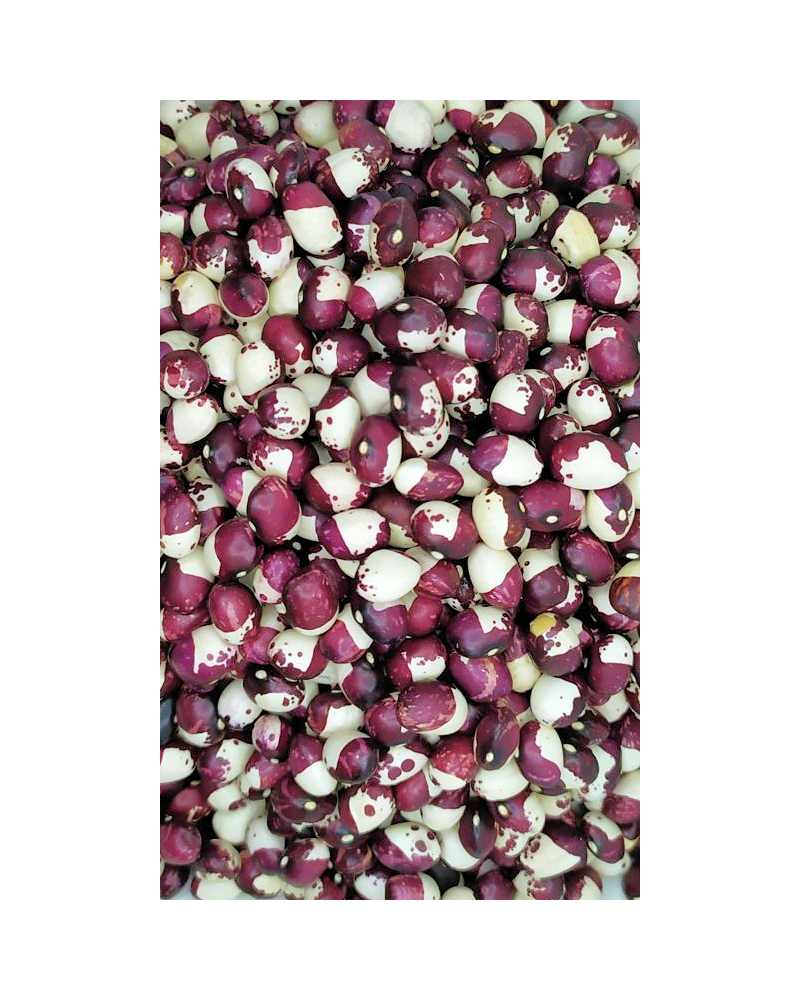 Caparrón - Mandilin