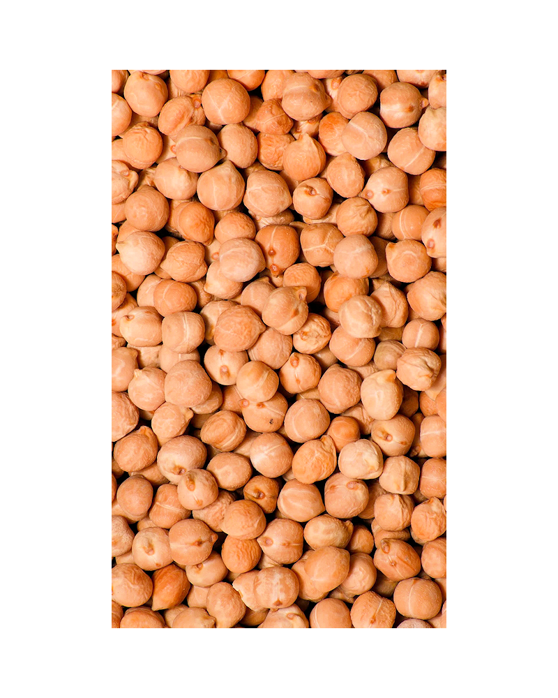 Garbanzos Castellanos